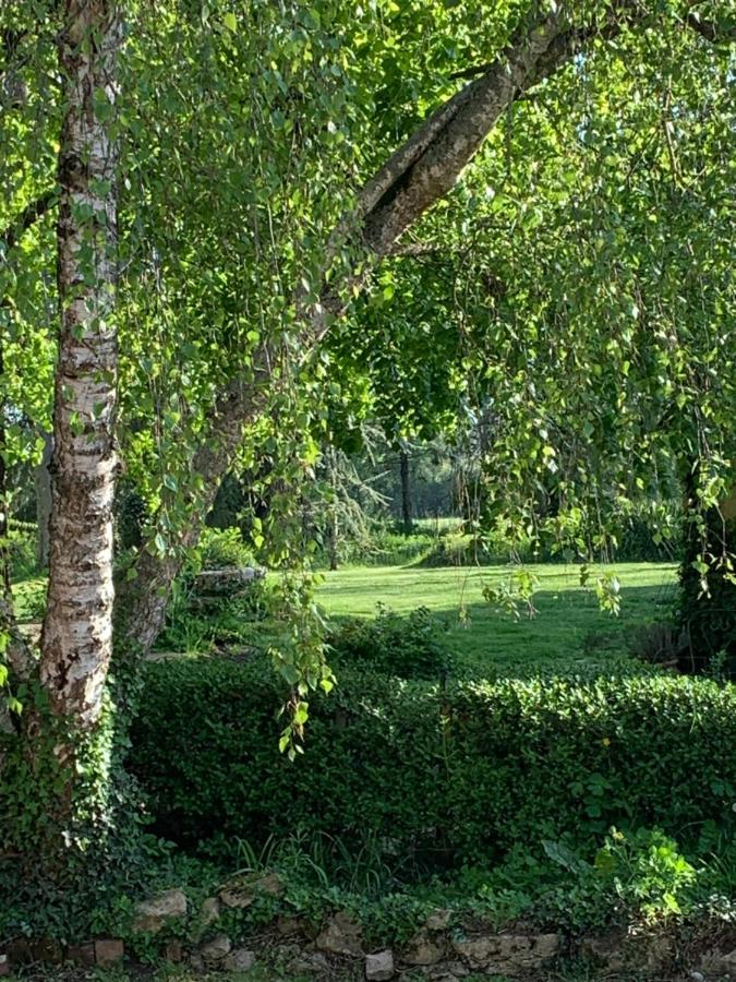 Bed and Breakfast Moulin De Champrond -Montmirail -Sarthe Экстерьер фото
